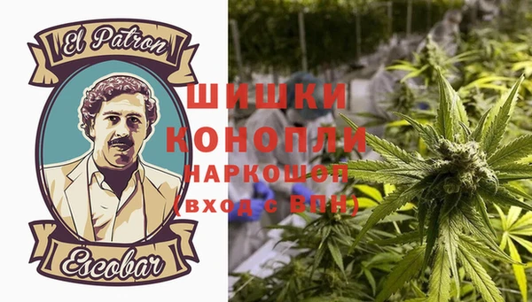 дживик Пестово