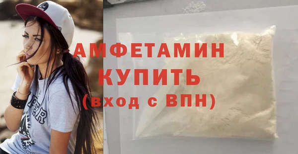 трава Пересвет