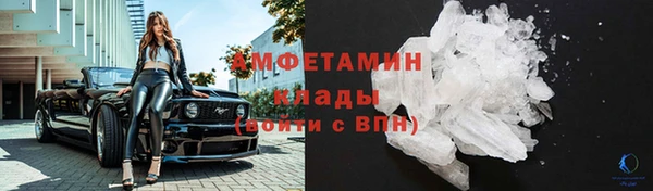 дживик Пестово