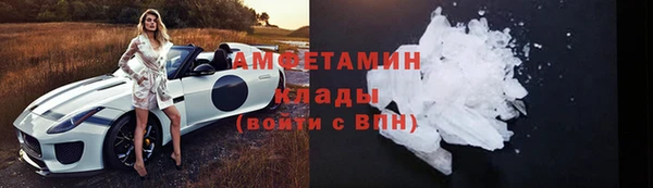 трава Пересвет