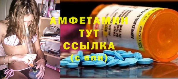 дживик Пестово