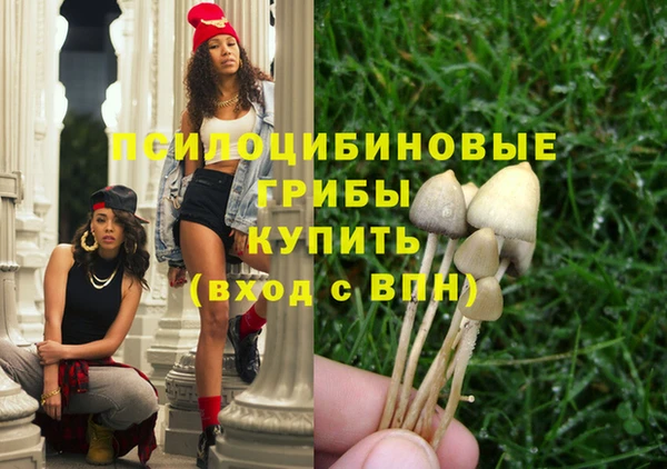 молекула духа Остров